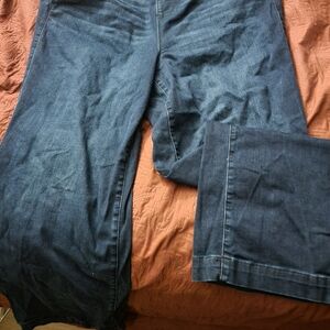 Torrid Dark Blue Jeans